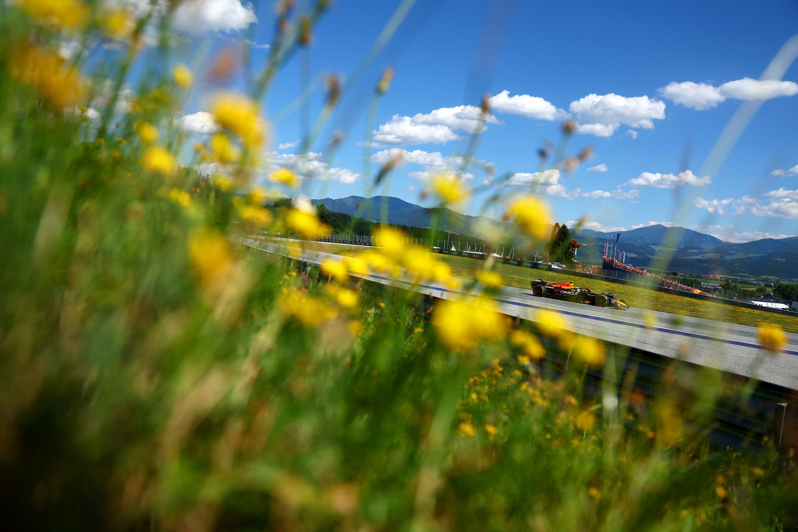 Red Bull Racing Formula 1 car on track at the Red Bull Ring with Styrian mountains and wildflowers in the foreground.
